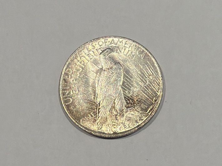 Tutti le monete: (2908) USA 1Dollar 1923 Peace, – Usato da Rüthi (Rheintal) venduto da erdnuessli1 1