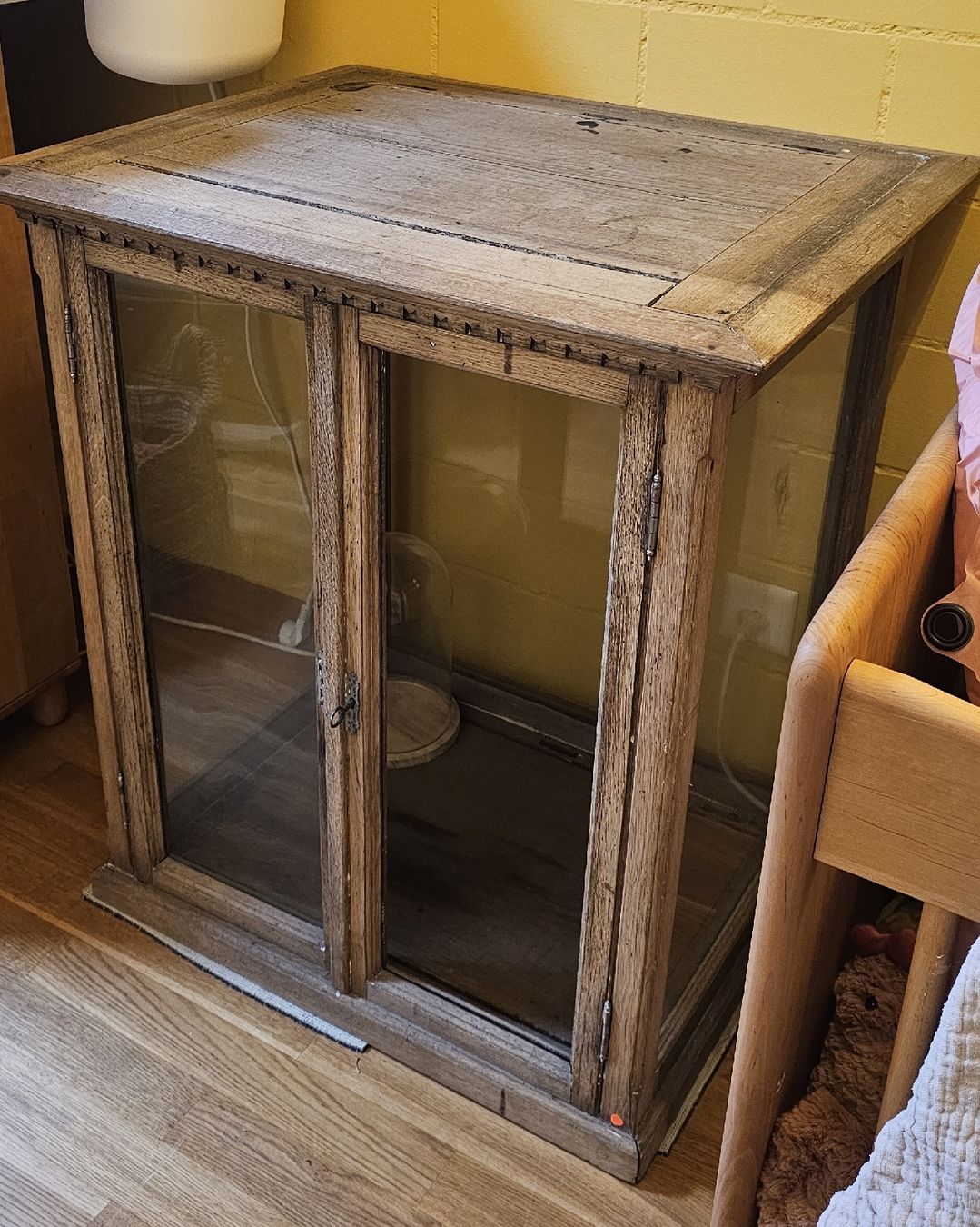 Vitrines: Massive Eiche Vitrine aus mit Glastüren – Défectueux à Beinwil am See par emi_f56y