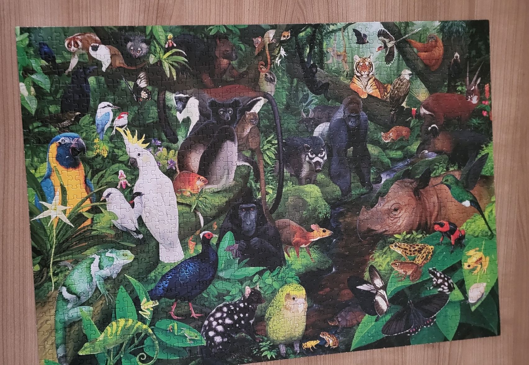 Ravensburger Puzzle: Puzzle "Dschungeltiere" – Usato da Rüti ZH venduto da clady01 1