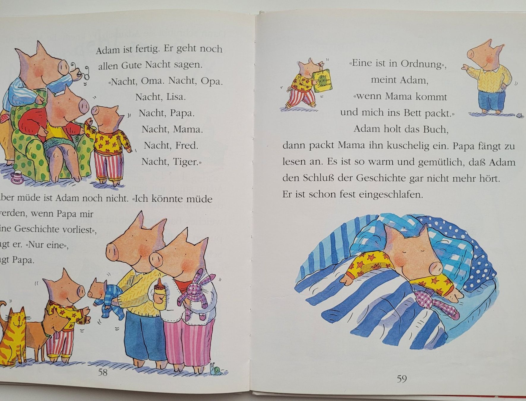 Libri: Adams dickes Buch – Usato da Würenlos venduto da Felisha 7