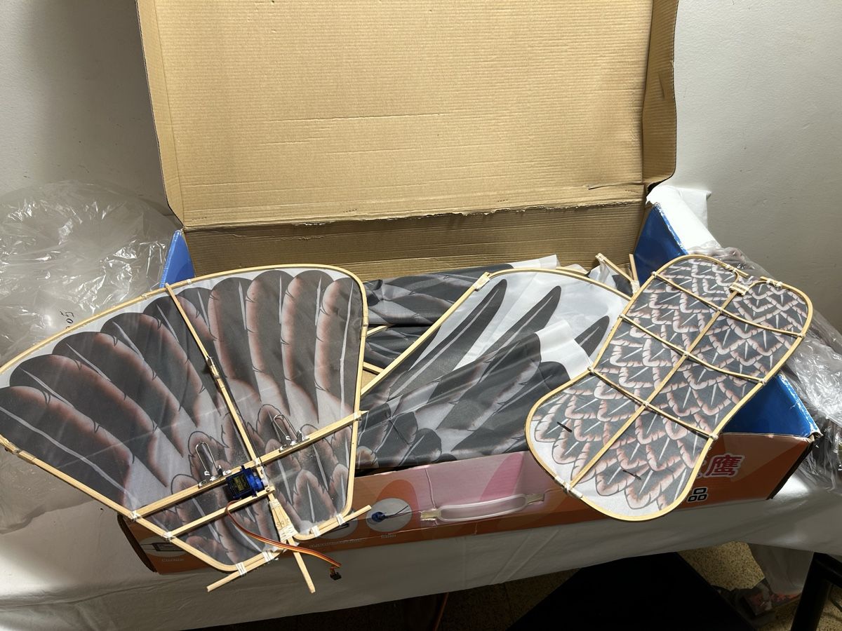 Modellismo RC: Avion RC Dynam RC Eagle – Usato da Geneve venduto da Fil1997 9