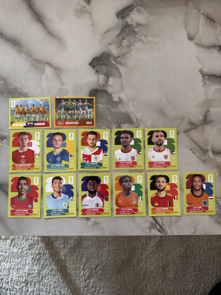 Panini Sammelbilder & Trading cards: FIFA WM 2026 Sticker – Neu (gemäss Beschreibung) aus Oberentfelden von _93_