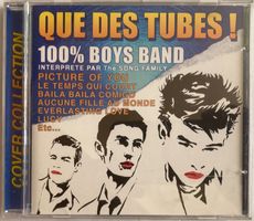 THE SONGS FAMILY - 100% BOYS BAND