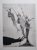 HANS HOFMANN  RADIERUNG AQUATINTA SIGNIERT NUMMERIERT