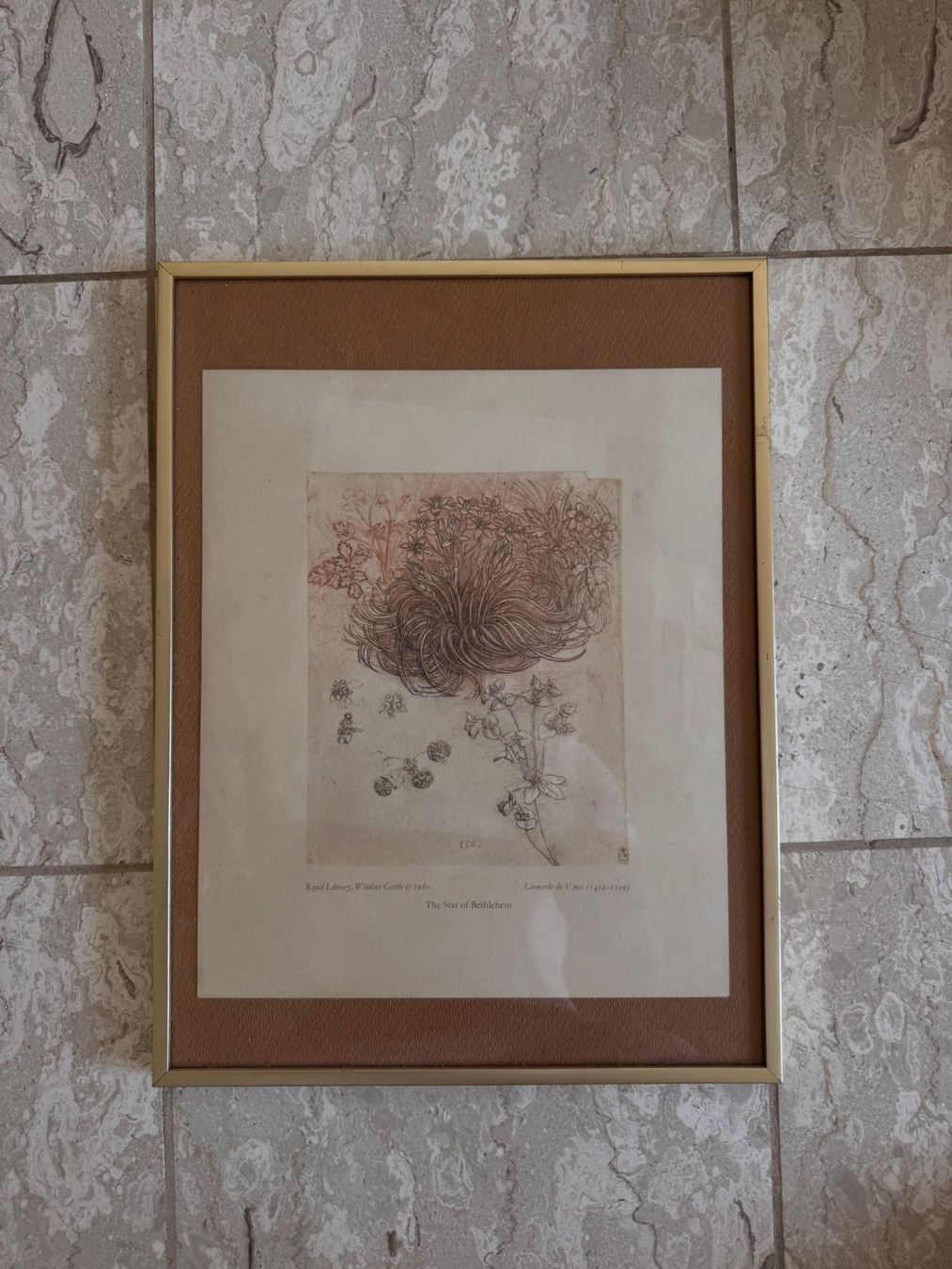 Foto & Immagini: Grafik Kunstdruck "Stern von Bethlehem" gerahmt – Usato da Zürich venduto da noe_wc2v