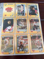 EHC Biel Trading Cards Sammelkarten 1993/94