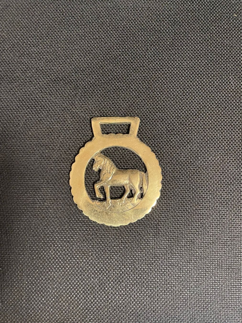 Tutte le decorazioni: 6 antike "Horse Brass" Messing – Usato da Frenkendorf venduto da pivot02 2
