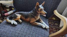 Goebel Porzellan Hund / Schäferhund 