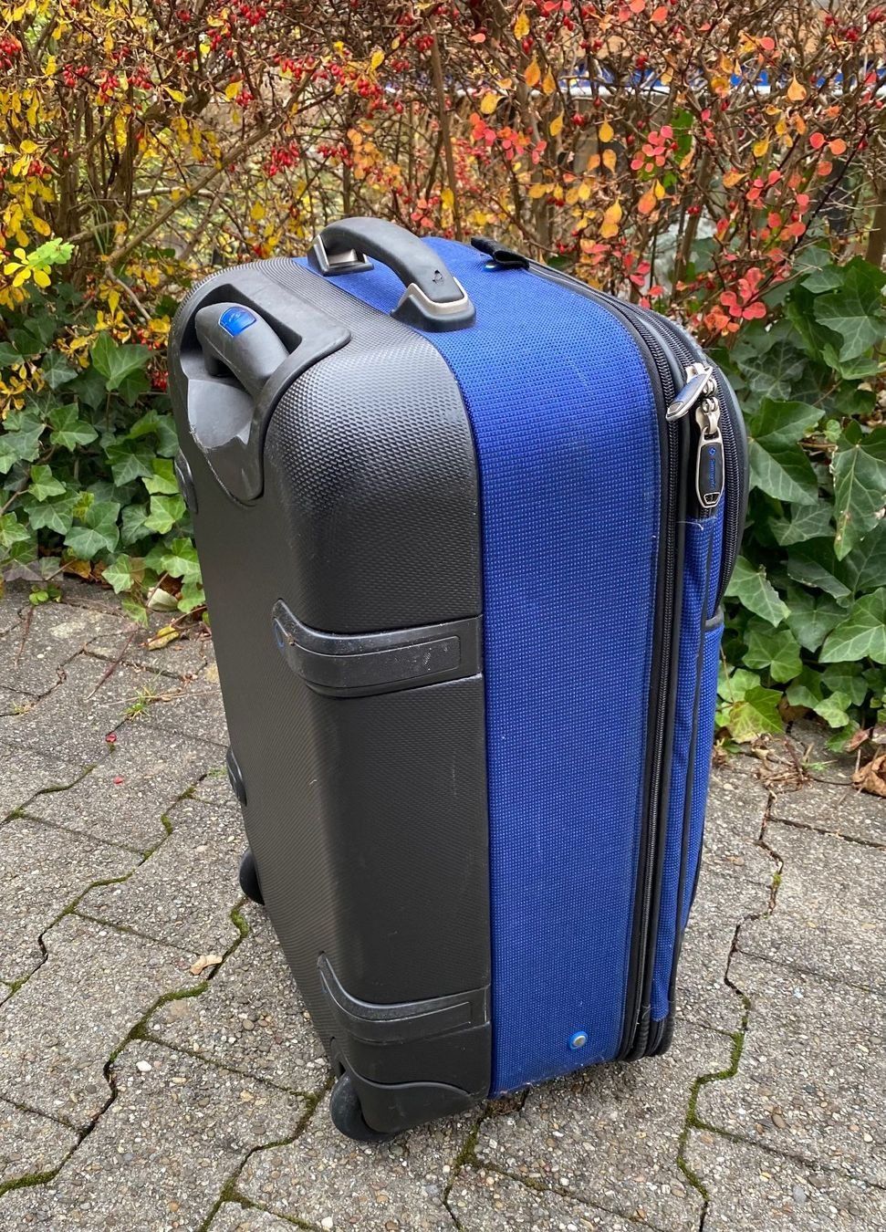 Samsonite Valigie: Kabinen Samsonite Koffer auf Rollen – Usato da Stäfa venduto da a9uzel 1