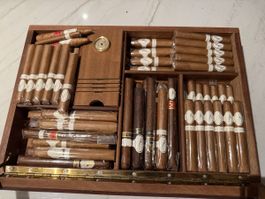 Humidor mit 75 Davodoff Zigarren