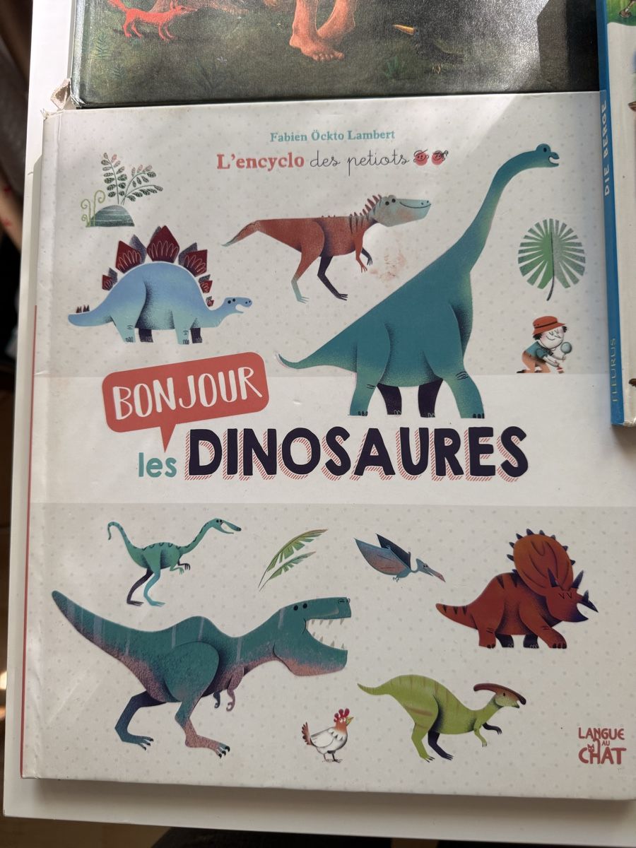 Libri: Paket mit 10 Kinderbüchern Deutsch – Usato da Zürich venduto da Vma_reuse 2