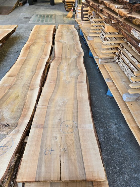 Articoli in legno: Nussbaumbrett Nr.45 – Nuovo (secondo la descrizione) da Lützelflüh-Goldb venduto da ch.waelchli-holz.ch