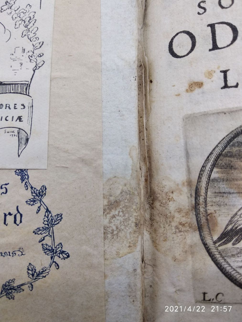 Libri: BAROCKLITERATUR - RAPIN - 1670 – Usato da Goldach venduto da Gaip 5