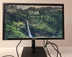 Samsung S24E650PL 24 Zoll Monitor Bildschirm - Top! Getestet