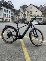 eBike Männer