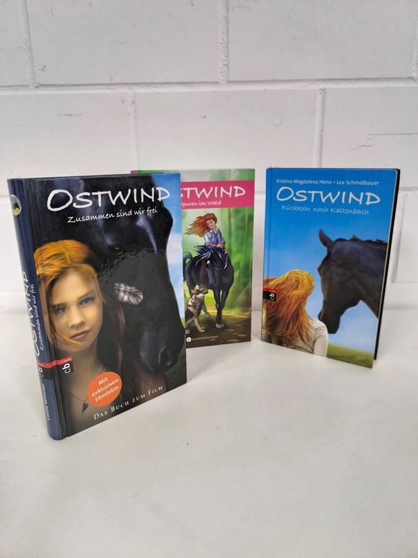 Livres: 3 er Set Bücher Ostwind – D'occasion à Rüti ZH par Restwert_Rueti_ZH 3