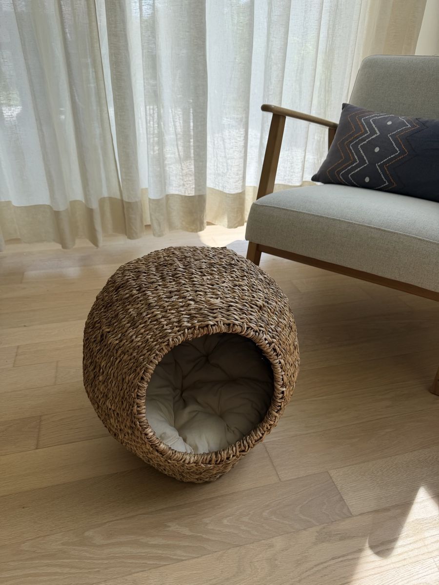 Cucce & Letti: Cat Bed with Cushion – Nuovo (secondo la descrizione) da Zürich venduto da val_9xzb