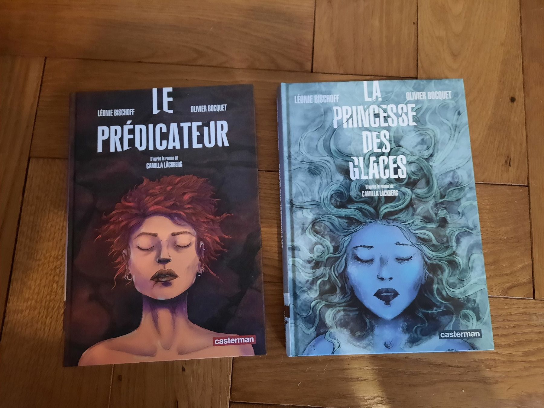 Fumetti: BD "Le Prédicateur" & "La Princesse Des Glaces" – Usato da Basel venduto da gillussiuss