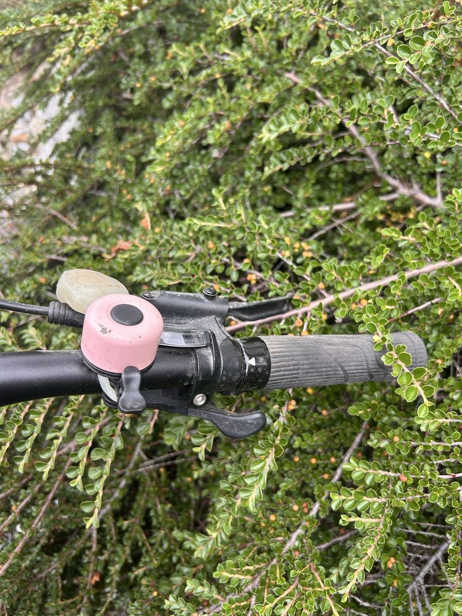 Velos: Merida E-Mountainbike – Gebraucht aus Savognin von Miss-Baerbl 5