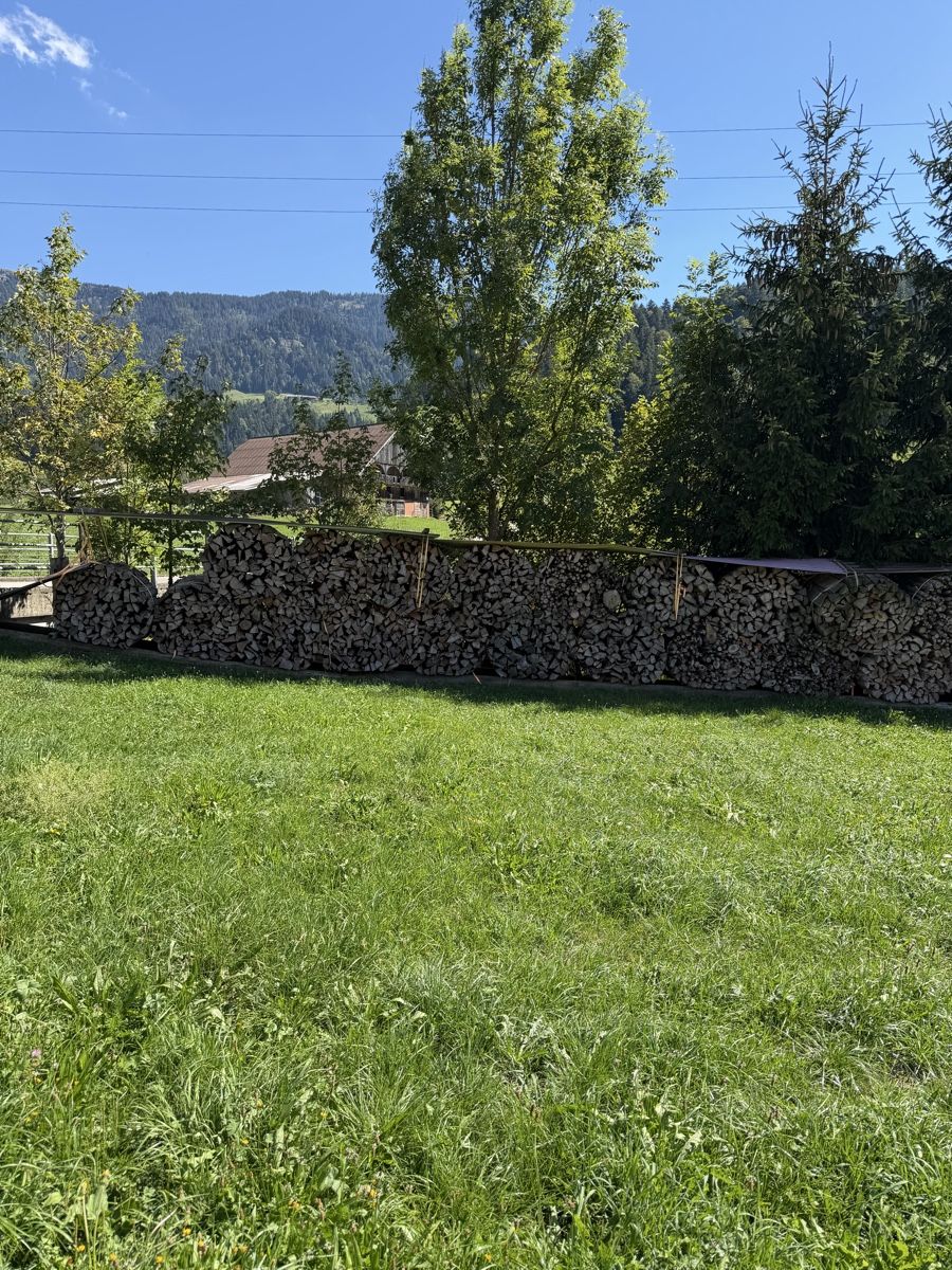 Articoli in legno: Brennholz in Sterbündel  – Usato da Escholzmatt venduto da Angelo8110 1