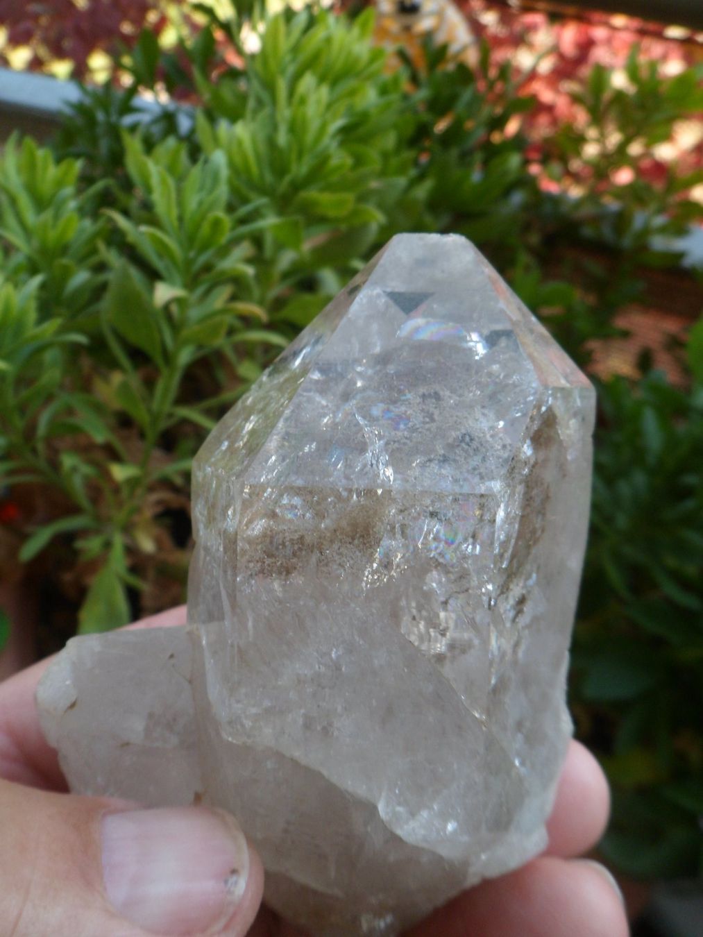 Minerali & Pietre curative: Bergkristall Schweiz 9 cm – Nuovo e nell'imballaggio originale da Affoltern am Albis venduto da Fossil60 6