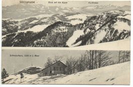 FISCHENTHAL 2-Bild-AK Schnebelhorn - Photogr. I. Schulthess