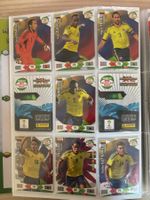Panini Road to 2014 FIFA World Cup Brazil - Colombia