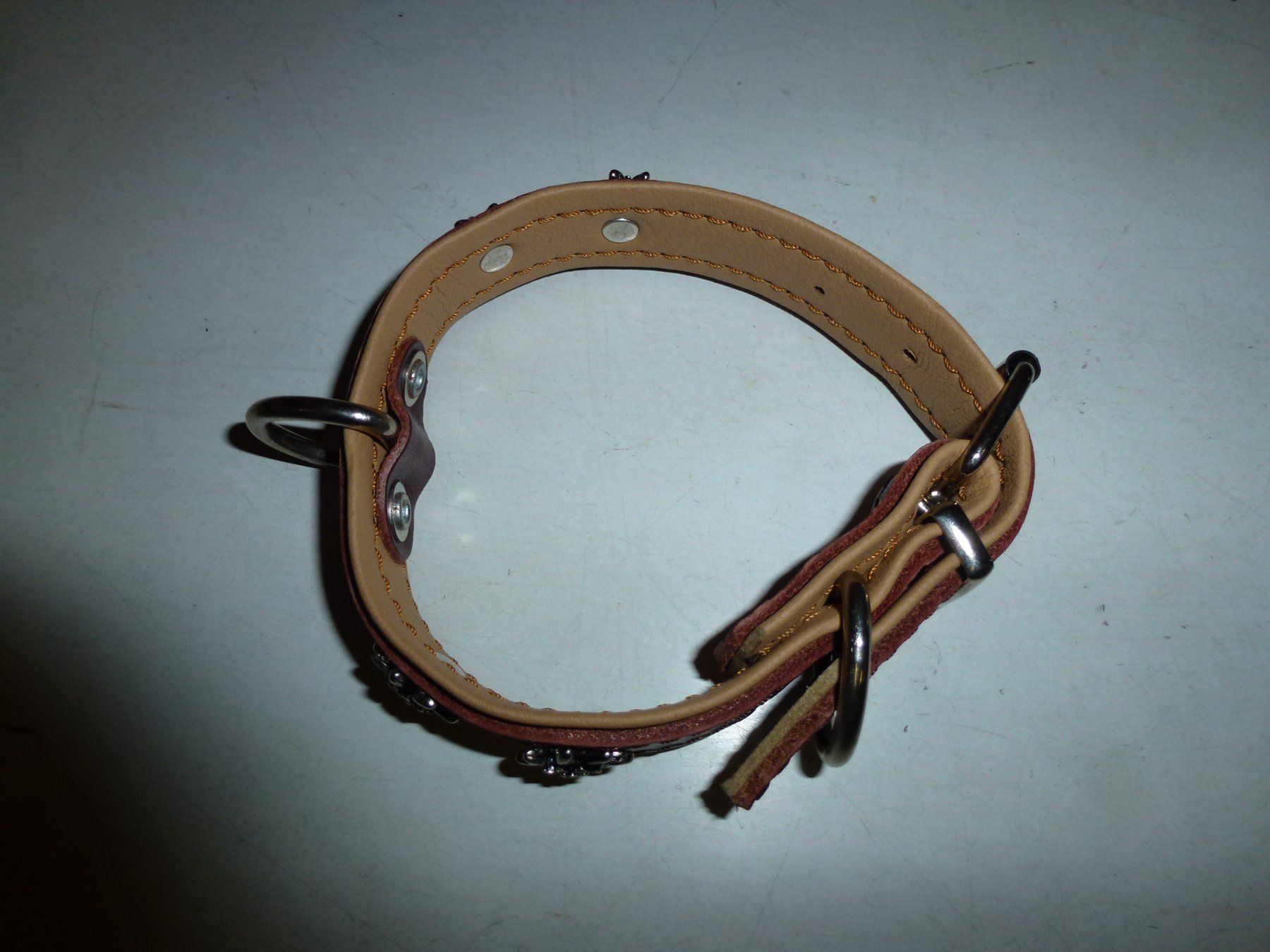 Leine & Halsband: Hundehalsband – Neu (gemäss Beschreibung) aus Bürglen UR von daisyxy5 1