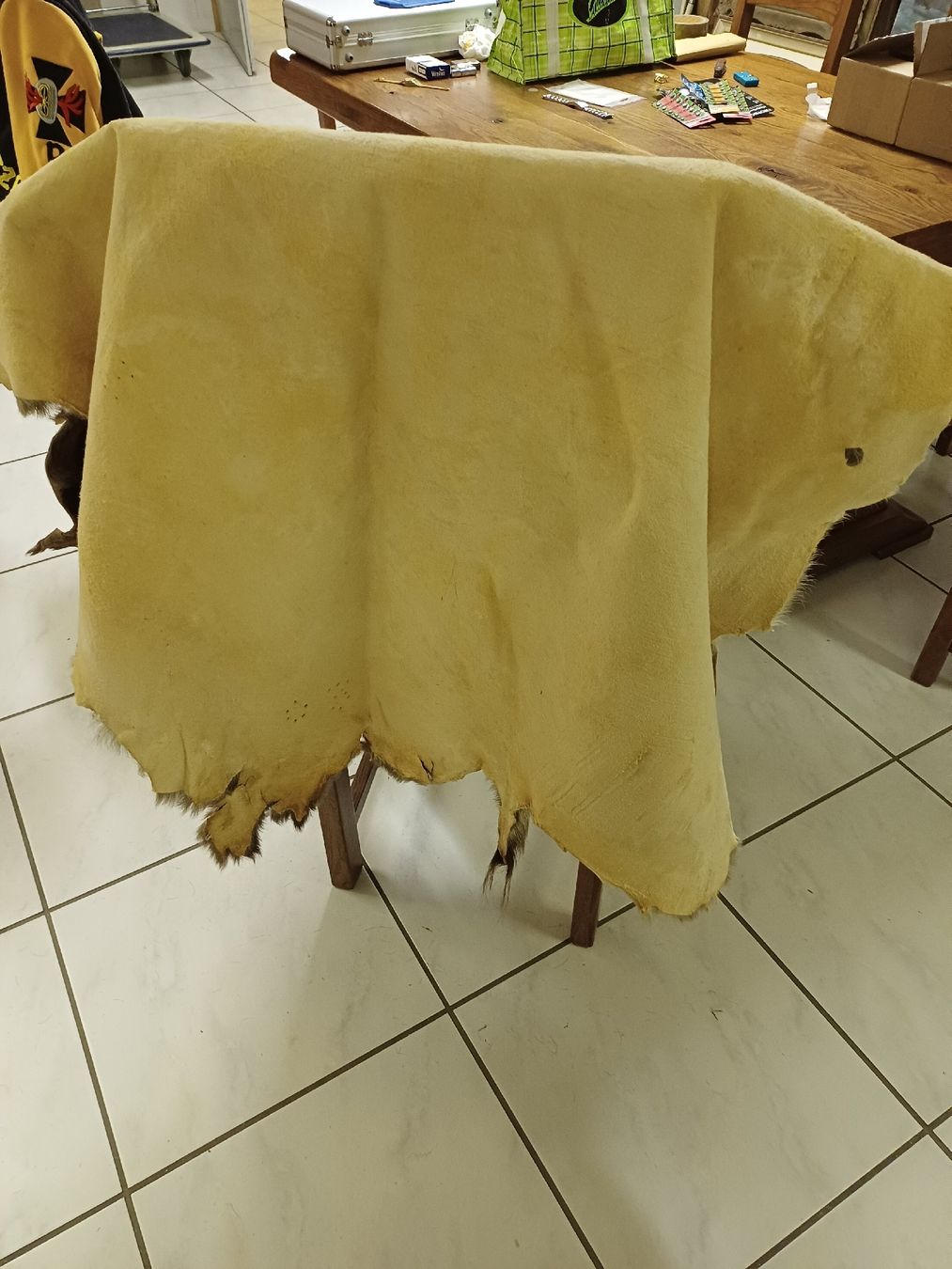 Welt der Tiere: Echtes Tierfell – Gebraucht aus Thun von Joeggu312 1