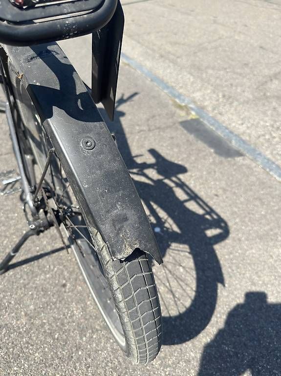 Biciclette: Riese & Müller E-Bike  Bosch Performance Line CX  – Usato da Dällikon venduto da efe_m8dm 1