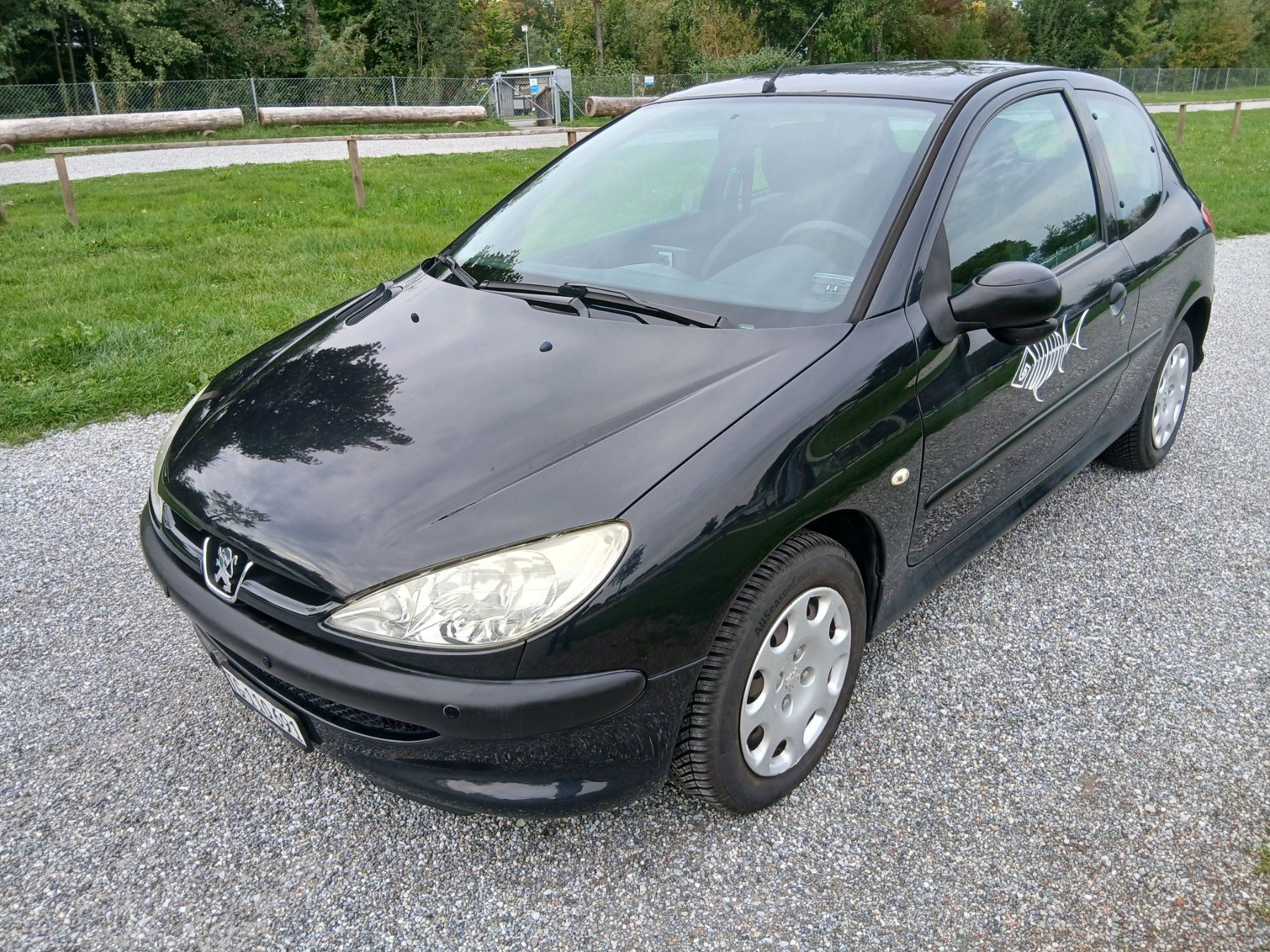 Peugeot Automobili: Peugeot 206 1,4i Youngtimer – Usato da Kreuzlingen venduto da leoremi 1