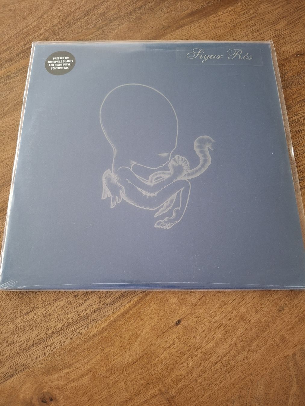 Dischi in vinile: Sigur Ros  - Aegetis Byrjun - LP – Nuovo e nell'imballaggio originale da LAUSANNE venduto da DESH3
