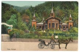 AK Thun, Kursaal mit Pferdekutsche
