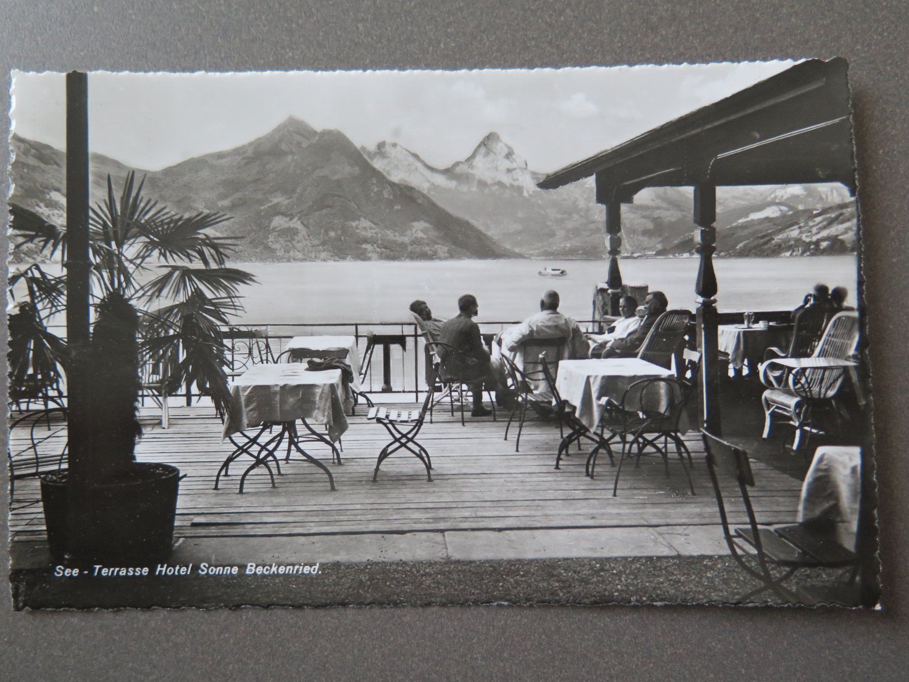Cartoline postali: BECKENRIED - SEE-TERRASSE HOTEL SONNE – Usato da Wittenbach venduto da lipasal