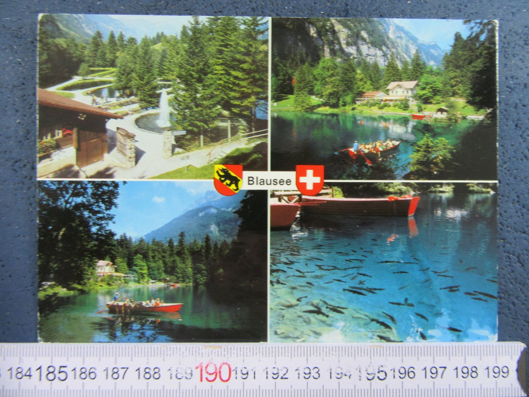 Ansichtskarten: BLAUSEE FORELLEN BEI KANDERSTEG BEO AK – Gebraucht aus Ettingen von Hausi4711