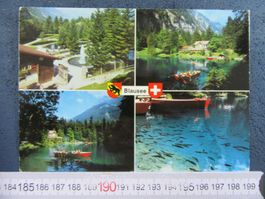 BLAUSEE FORELLEN BEI KANDERSTEG BEO AK