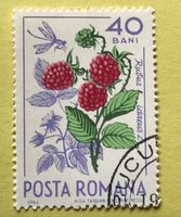 Briefmarken aus Rumänien gestempelt  Siehe Original Fotos. 