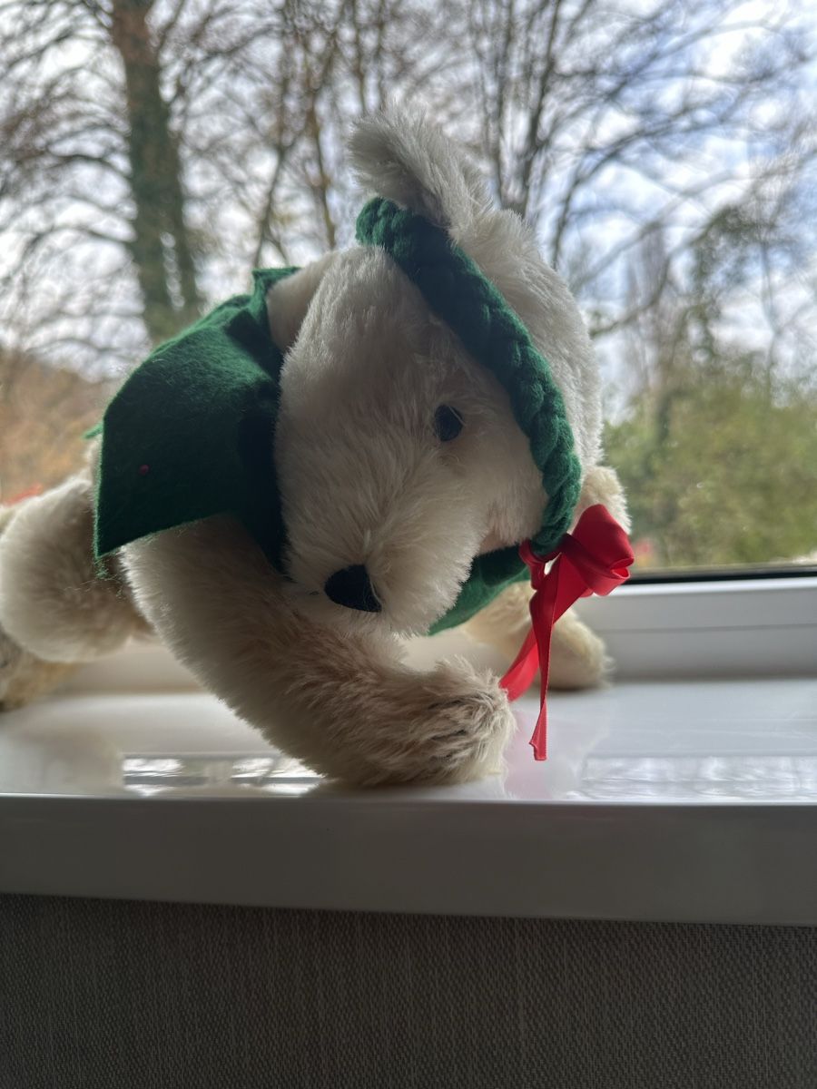 Steiff Bambole: Steiff Teddy Bär – Nuovo e nell'imballaggio originale da Mumpf venduto da A_B_E 1