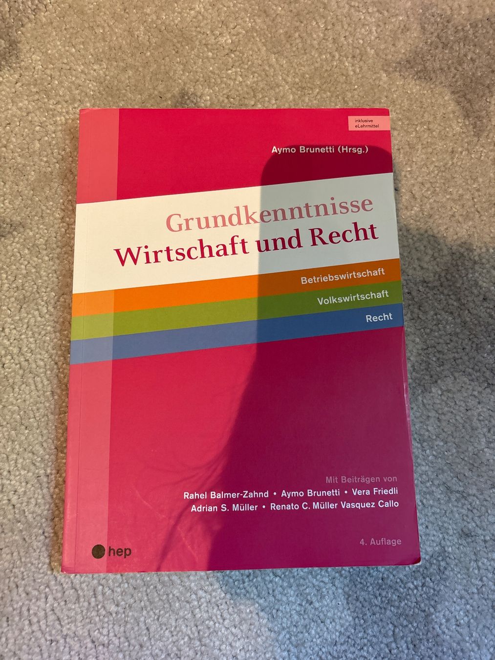 Bücher: Grundkenntnisse Wirtschaft und Recht – Gebraucht aus Grub SG von Vinciguerra