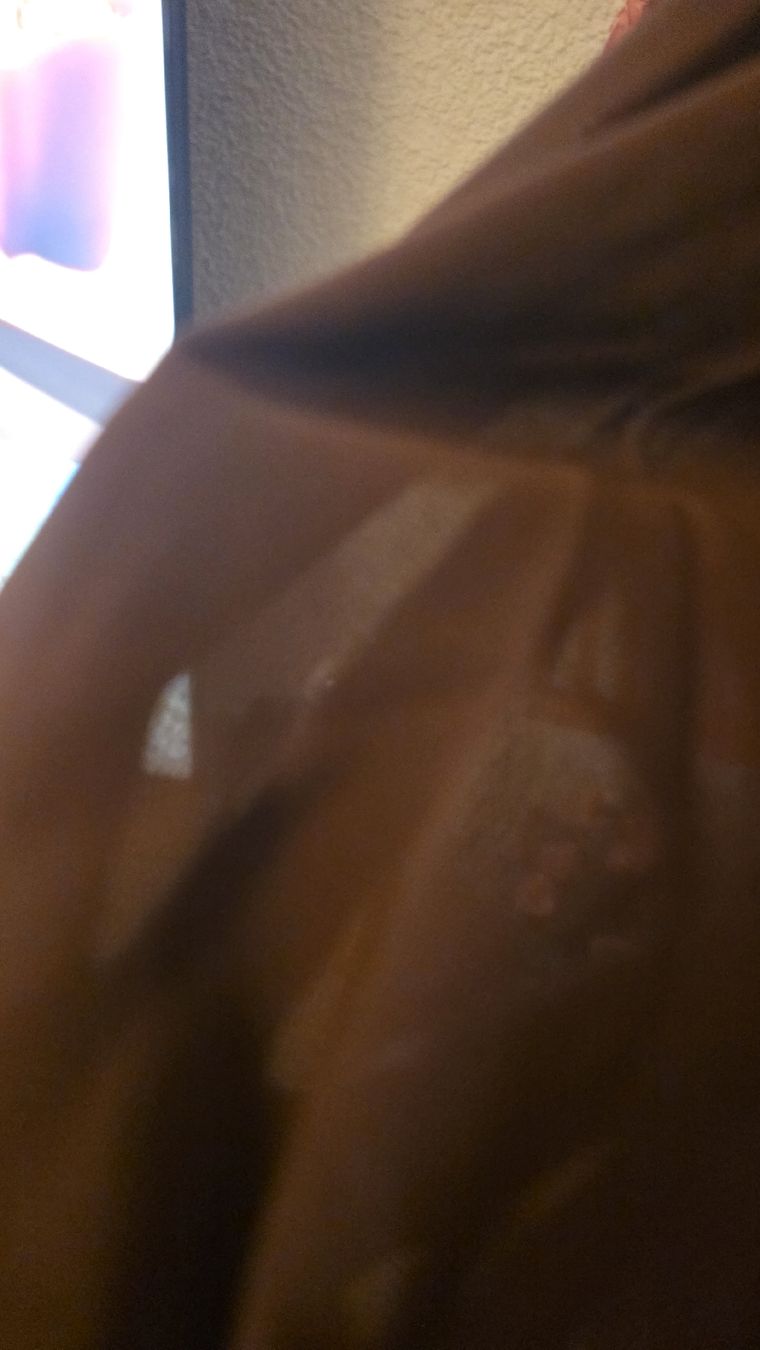Chemisiers: Blouse brown, long sleeve, 100% Polyester, length 65  – D'occasion à Klingnau par fairy.princess 2
