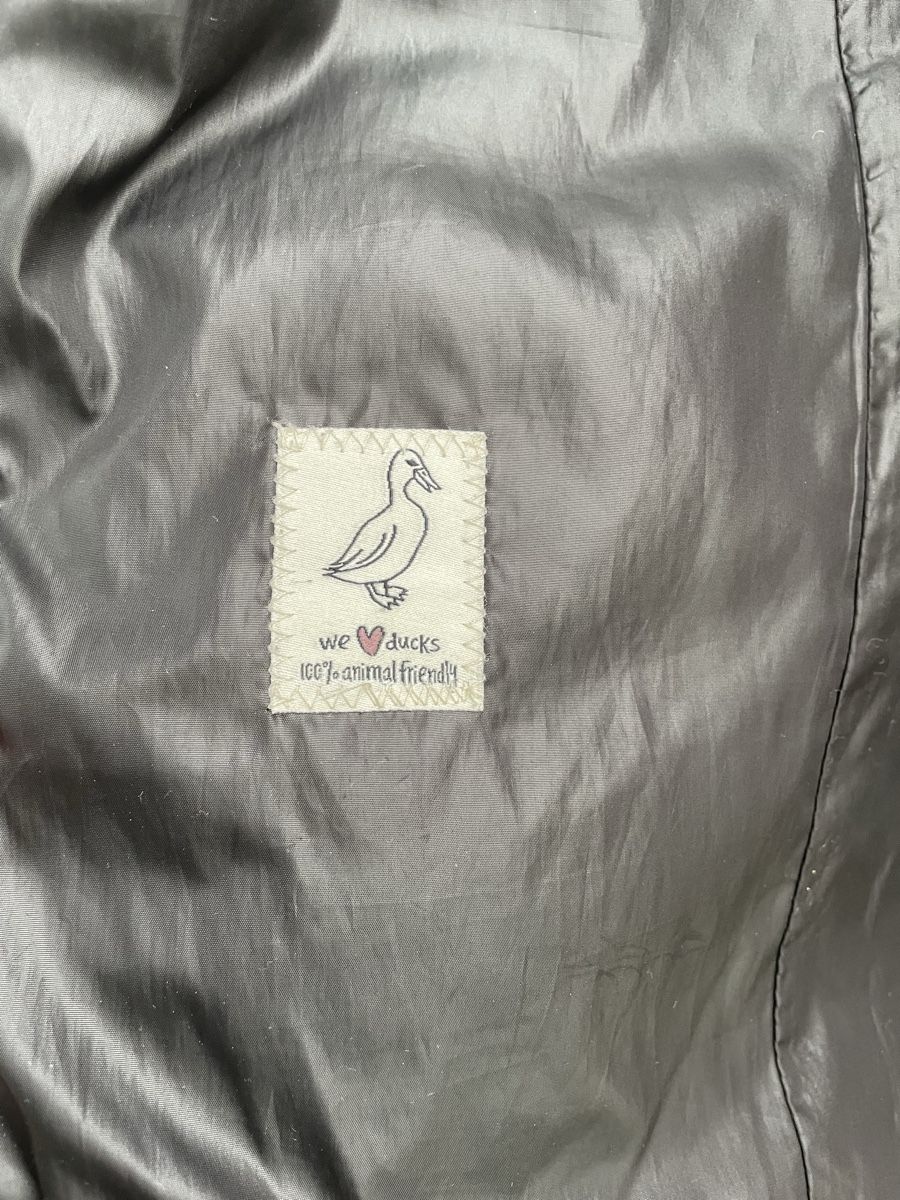 Tom Tailor Jacken: Warme Winter Jacke Tom Tailor  Gr. L – Gebraucht aus Sirnach von sirni 2