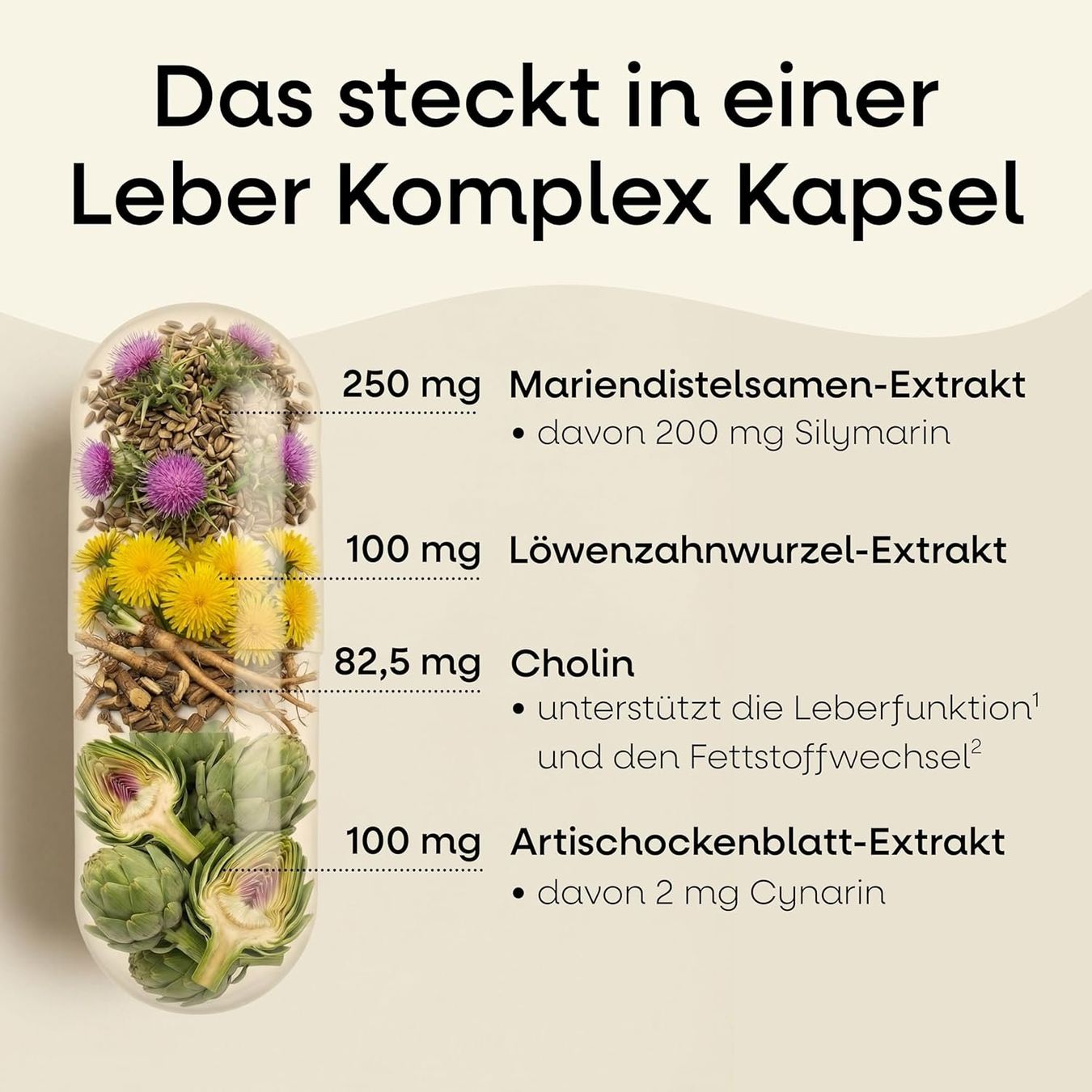 Cibi & Specialità: Mariendistel Leber Komplex 120 Kapseln – Nuovo e nell'imballaggio originale da Suhr venduto da SchnapperCH 2