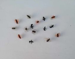 15stk. verschidene Trockenfliege Nr.4 Hakengrösse 16-18