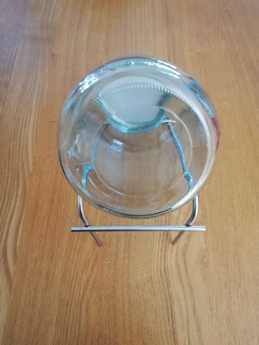 Tutte le decorazioni: Sprossensamen Glas – Usato da Luzern venduto da M11K 2