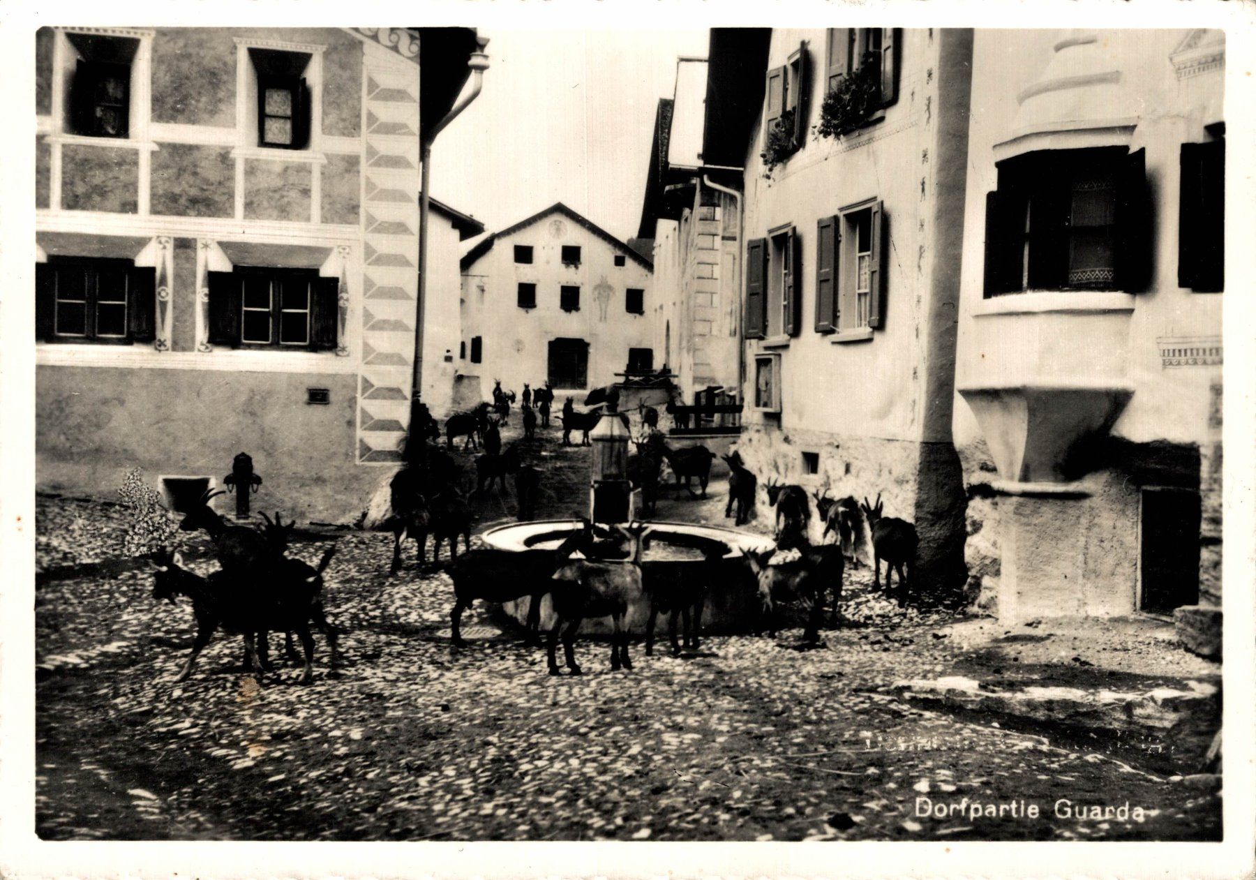 Cartoline postali: Dorfpartie Guarda. Ziegenherde – Usato da Bronschhofen venduto da Astore