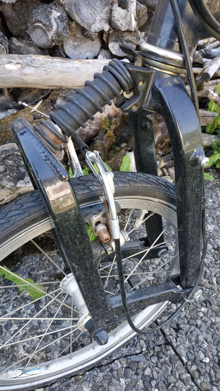 Riese & Müller Biciclette: Birdy klappvelo – Usato da Thierachern venduto da Velo1970 7