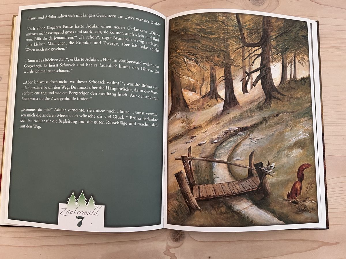 Livres: Bilderbuch Brünä – D'occasion à Uebeschi par 1Anna1 1