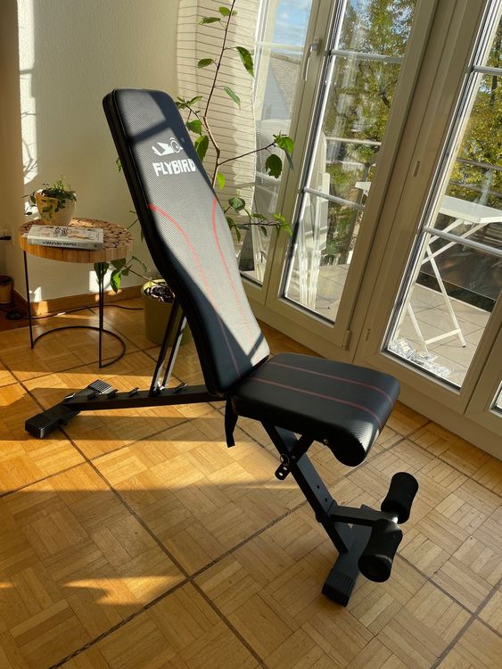Adjustable workout bench Flybird Kaufen auf Ricardo