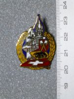 PIN PINS POLIZEI POLICE
