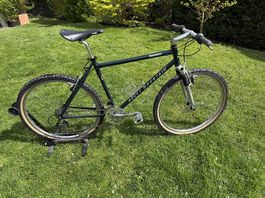 ROCKY MOUNTAIN HAMMER in Top Zustand fast wie Neu!